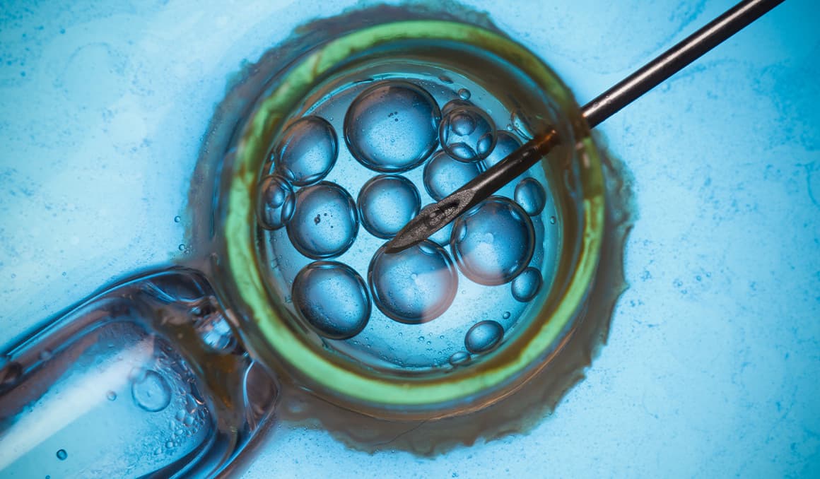 Georgia woman sues IVF clinic after embryo mixup results in heartbreaking custody battle