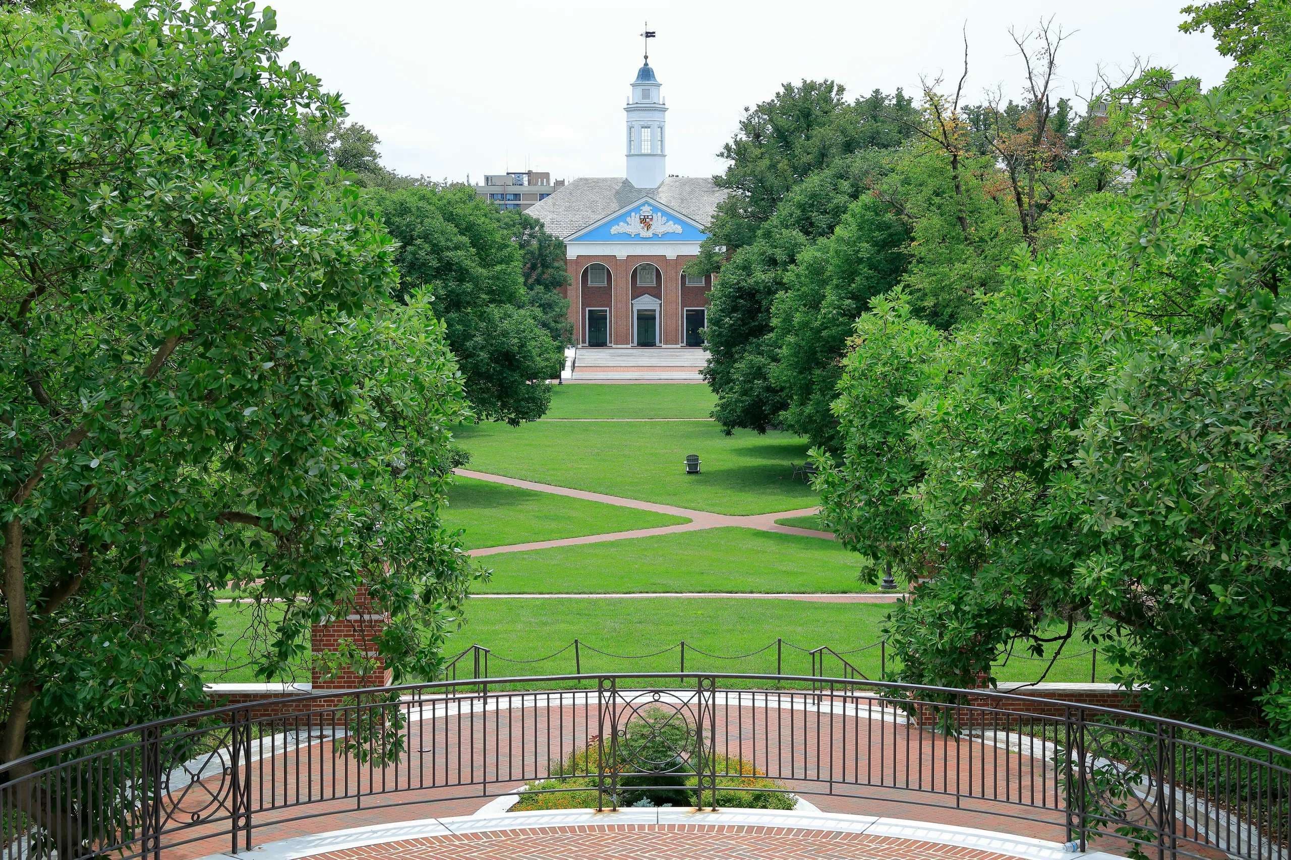 Students erase pro-life messages at Johns Hopkins University