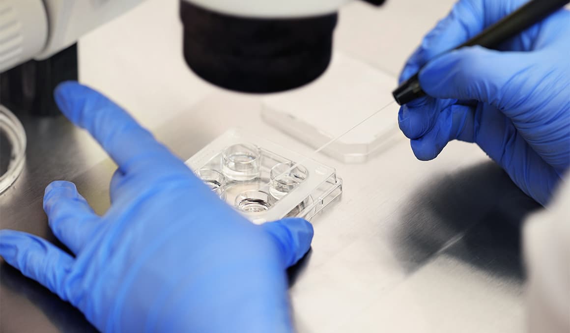 Bishop of Arlington issues pastoral letter addressing IVF, family, life issues