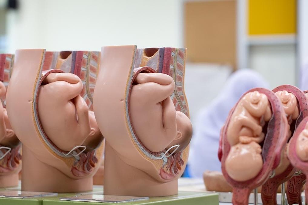 New Chicago clinic advertises abortions through ‘all trimesters’ up to 34 weeks