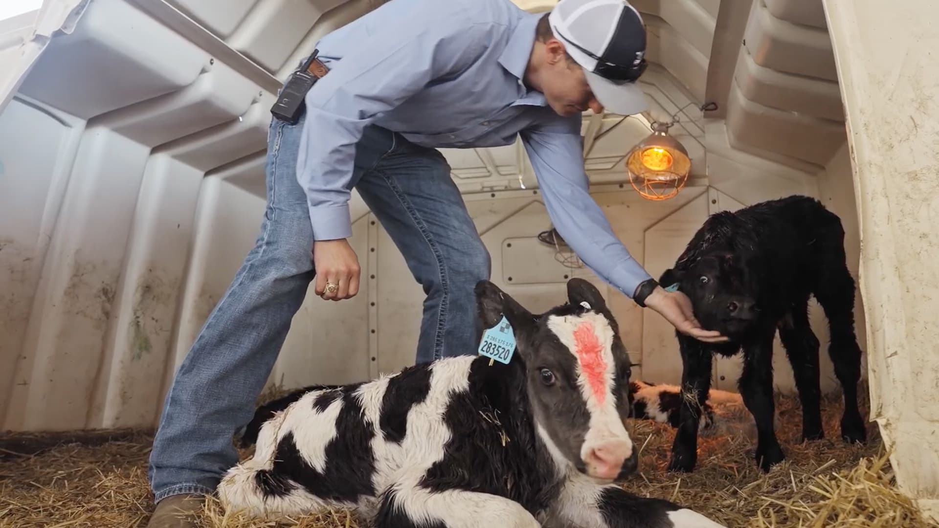 Faith, Family, Farming