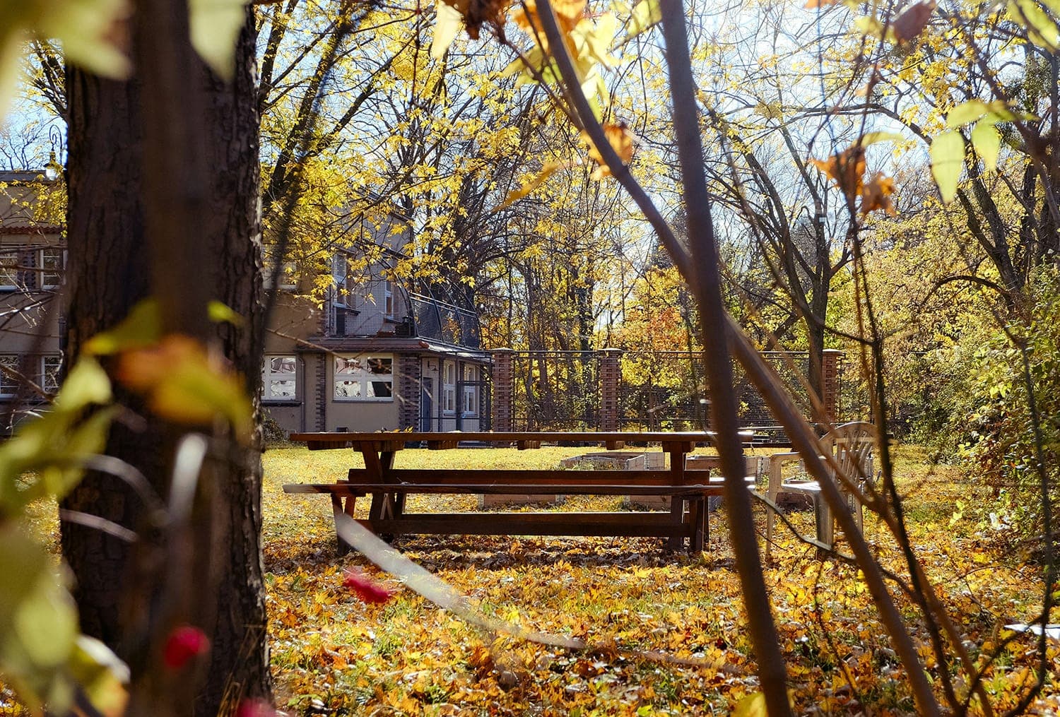 5 ways to prep your yard for outdoor fun this fall