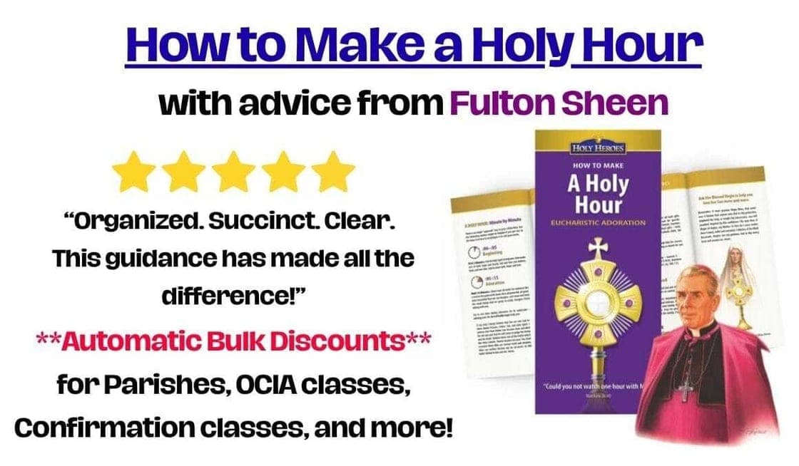 HOW TO MAKE THE HOLY HOUR FULTON SHEEN RECOMMENDED