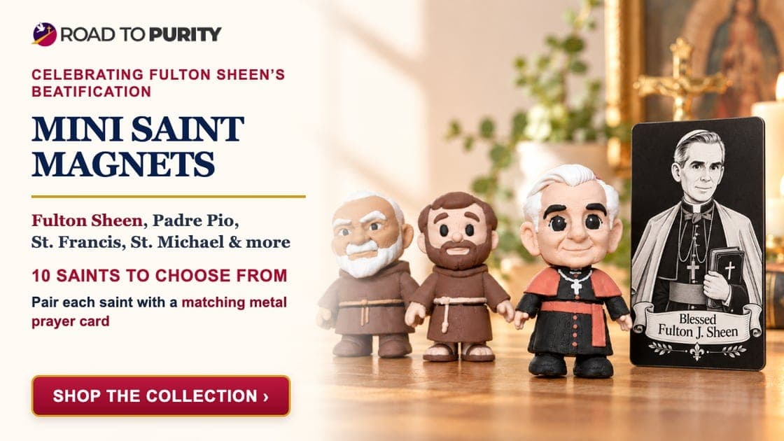 GET YOUR NEW BLESSED FULTON J. SHEEN MAGNET!