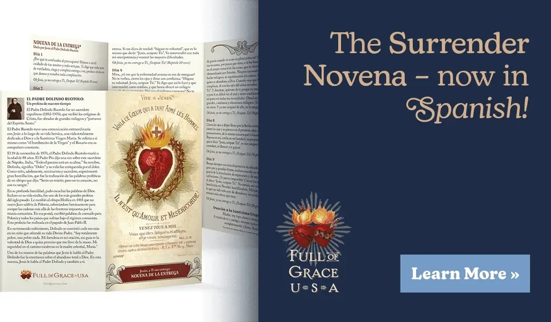 THE SURRENDER NOVENA—NOW IN SPANISH!