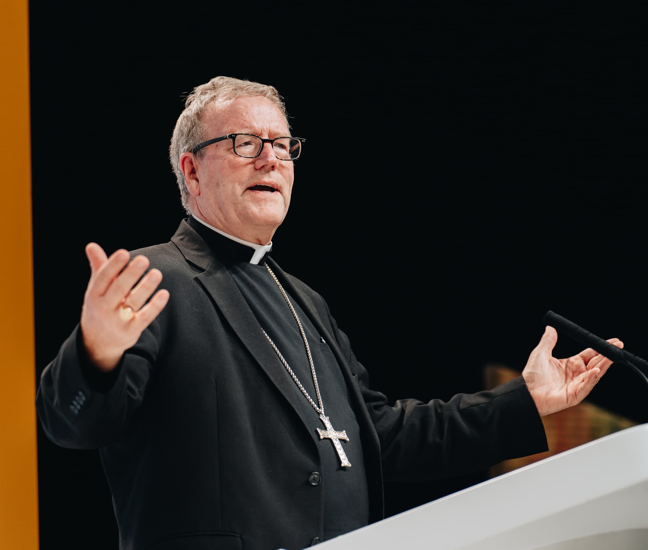 Bishop Barron sounds alarm over growing influence of socialism, communism in US politics
