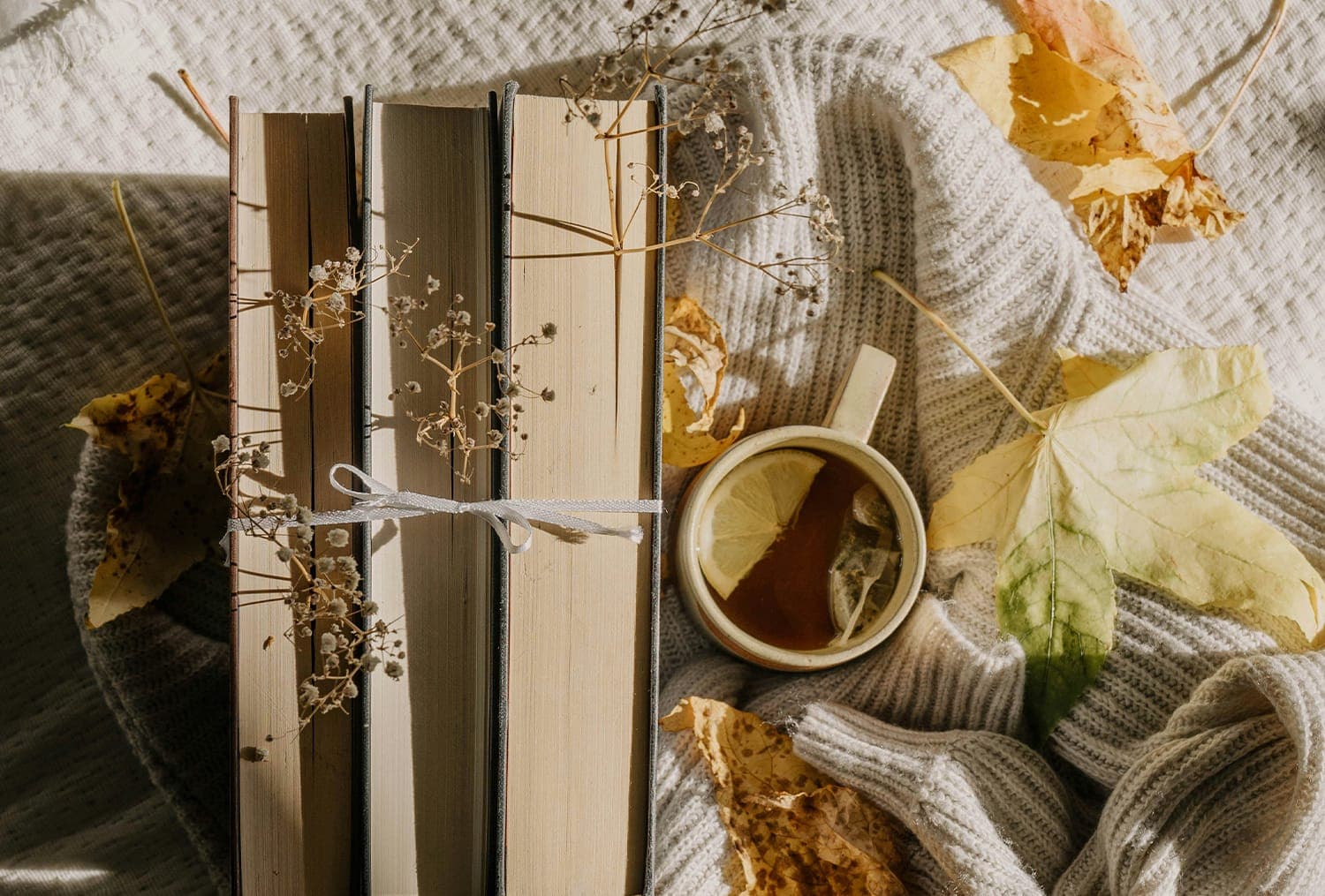Fall reading challenge 2026