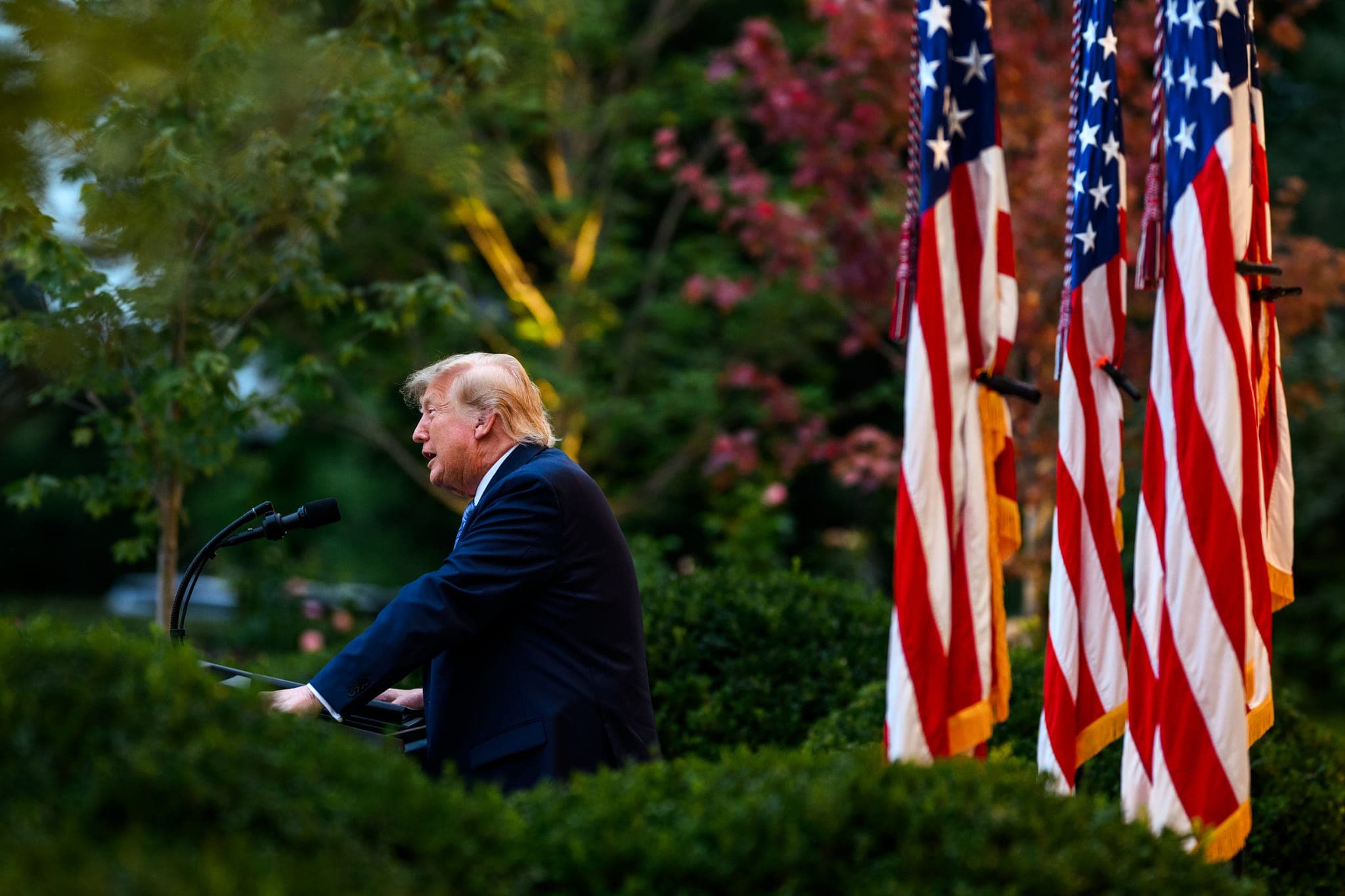 Poll: Most Democrats say they’d view military ouster and natural death of Trump positively