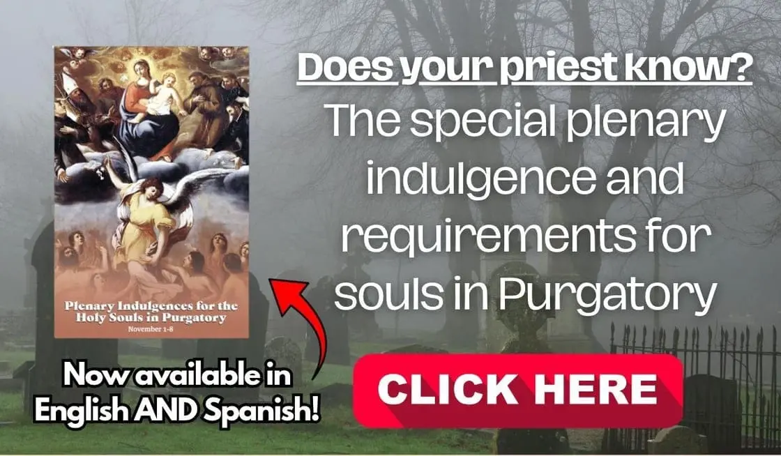 ESPECIALLY ON THESE 8 DAYS: HOLY SOULS NEED YOUR PRAYERS!