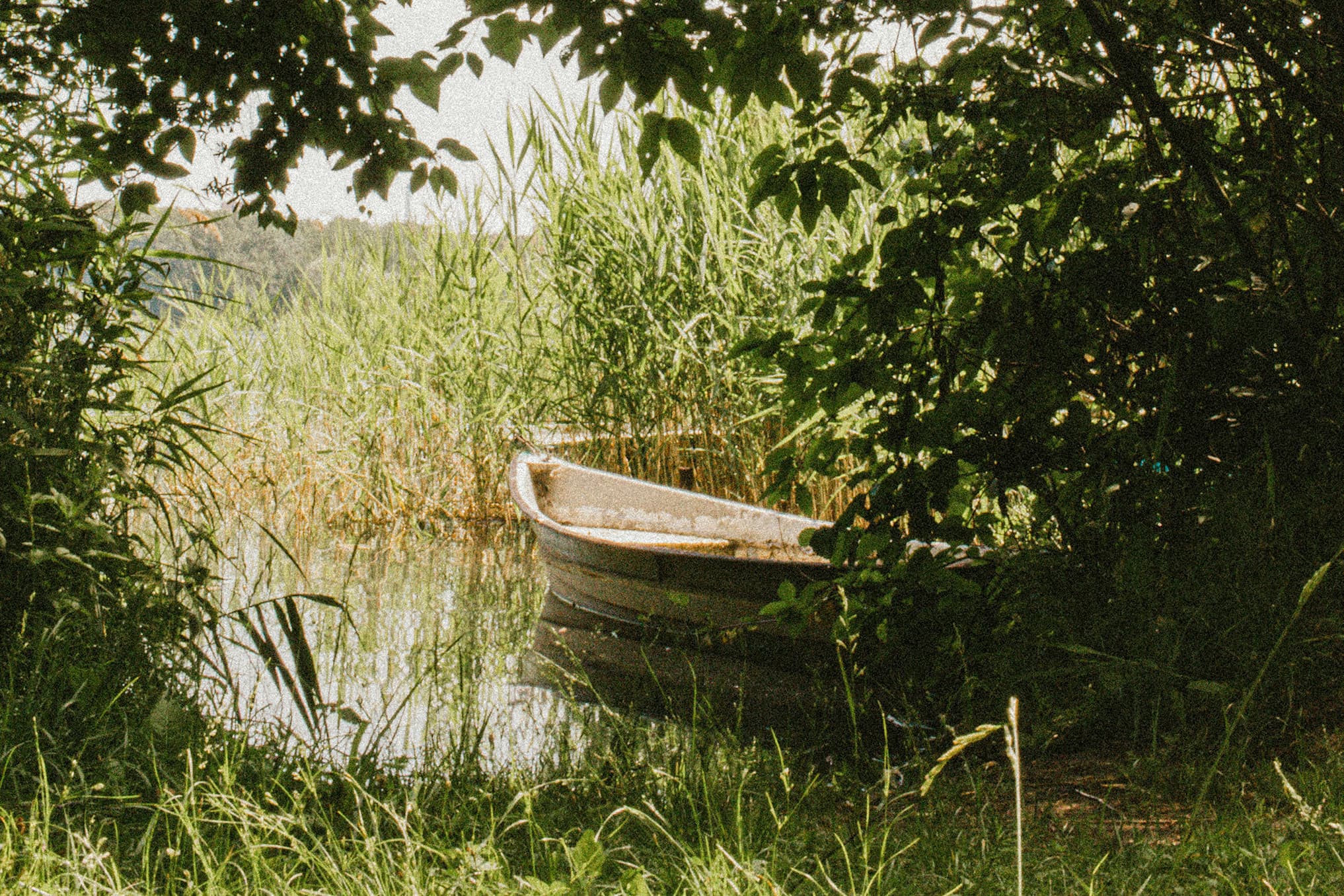 7 psalms to anchor to your daily habits