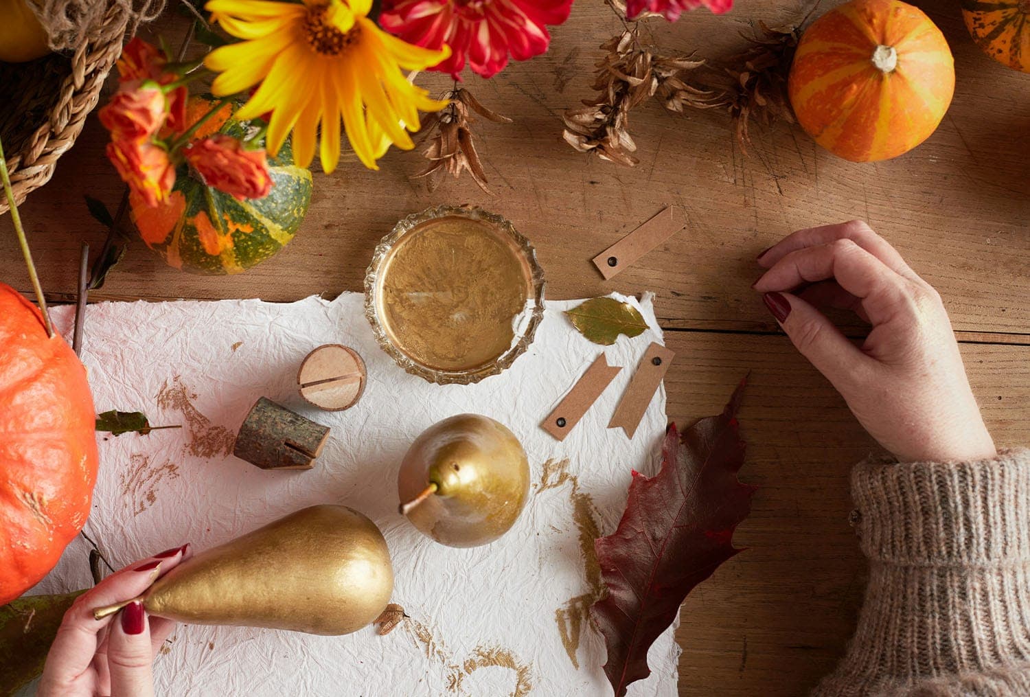 Florida fall: How to celebrate the season in the Sunshine State