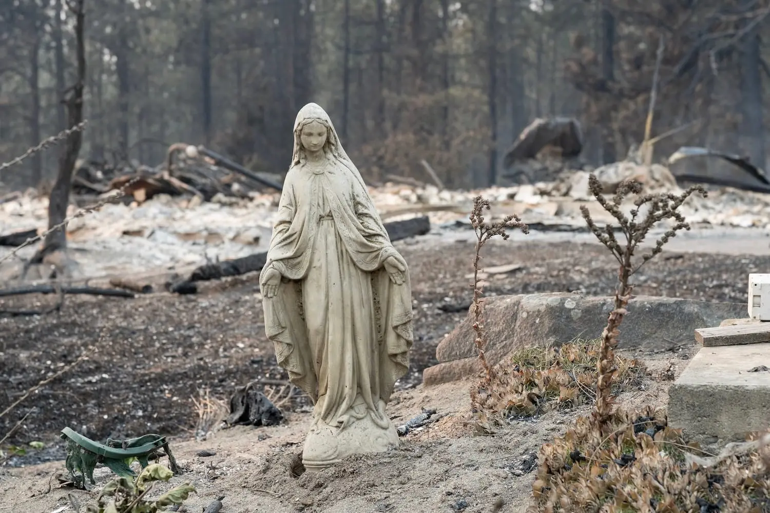 Statue of the Blessed Virgin Mary survives devastating wildfires near Spokane