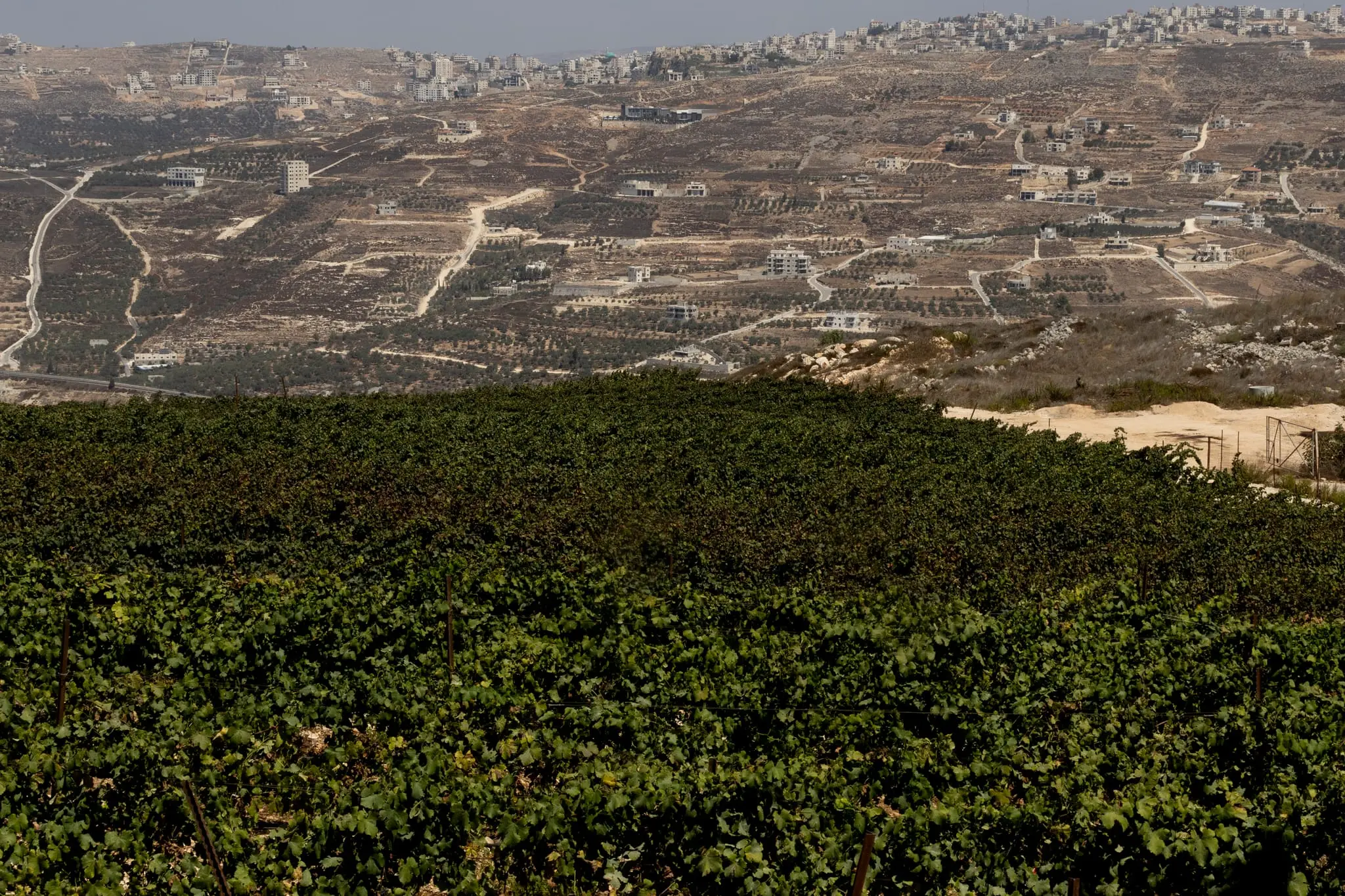 Foreign governments threaten repercussions over Israeli settler violence