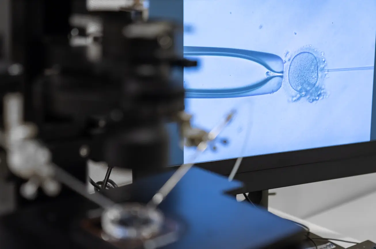New analysis finds major care gaps before patients begin IVF