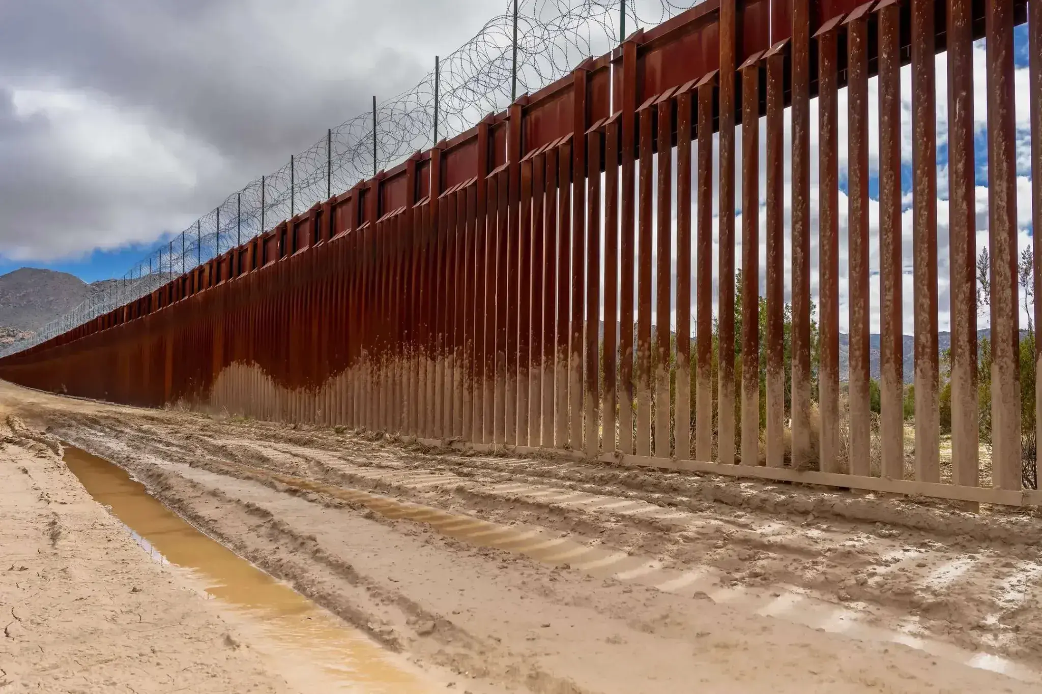 Widespread fraud uncovered in vetting migrant children’s sponsors