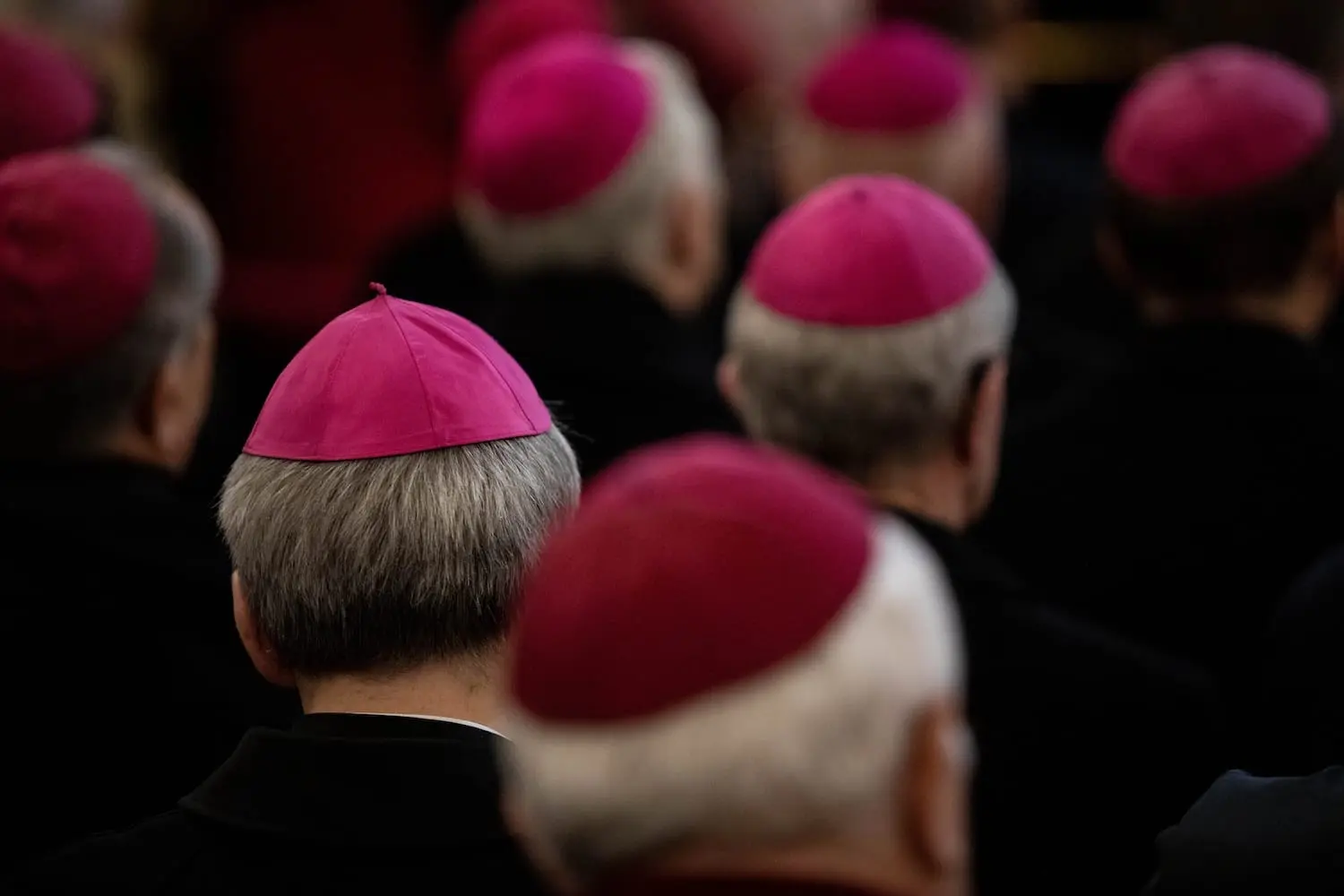 US bishops’ Fall Plenary Assembly to be livestreamed
