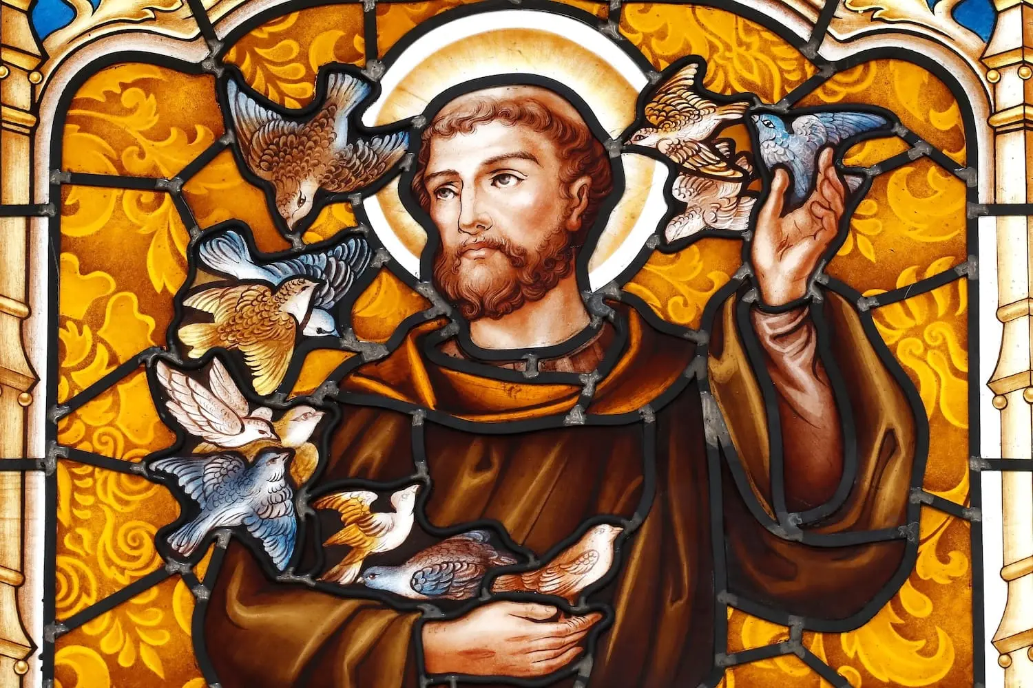 Feast of St. Francis of Assisi marks 800 years since the beloved saint’s death