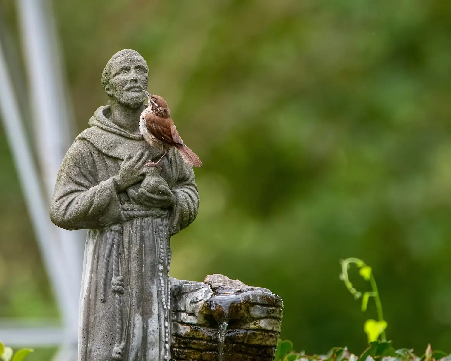 Sacred art, relic of St. Francis’ blood arrive in San Francisco for Jubilee celebration