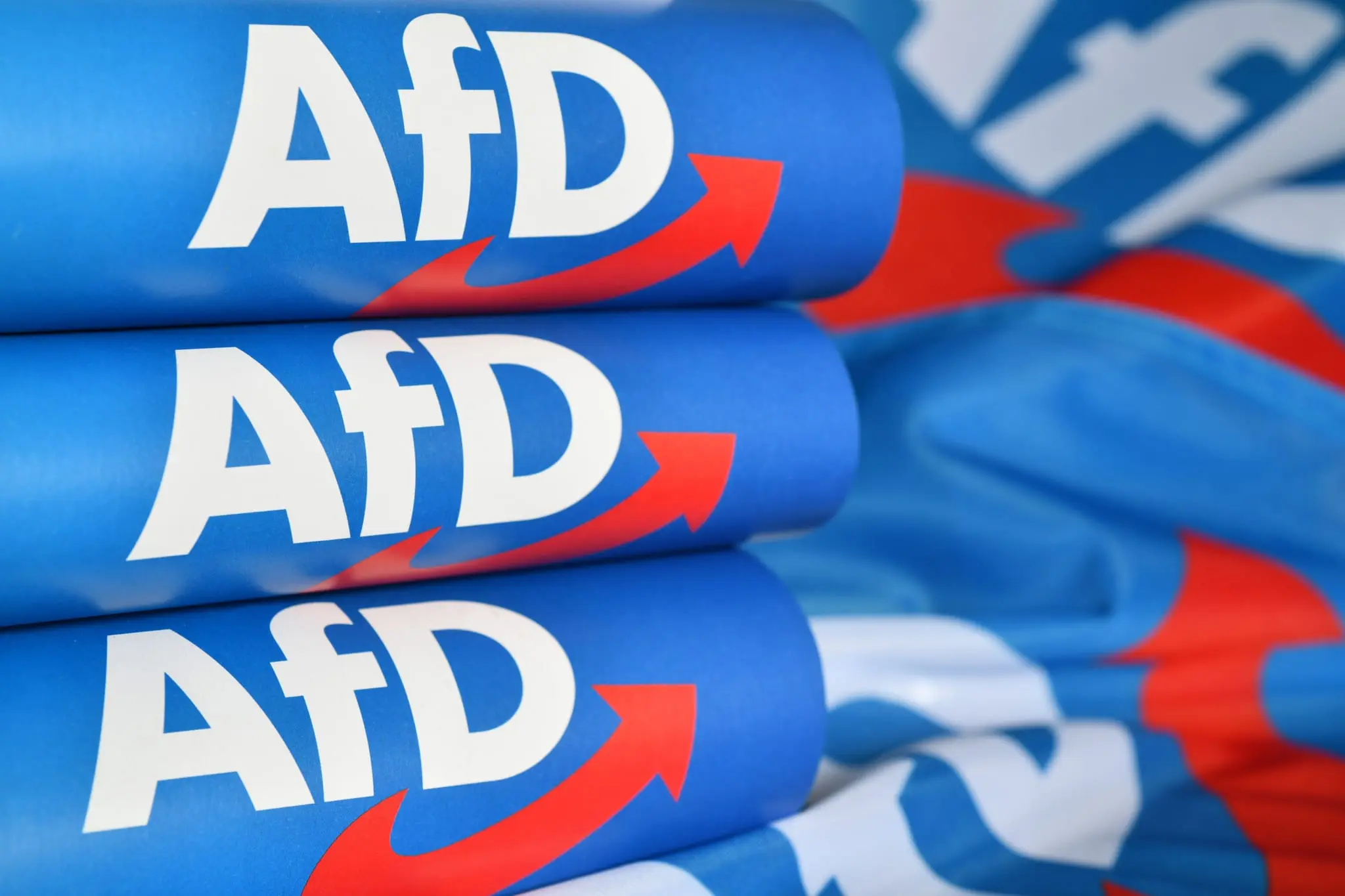 AfD wins second major German state election in 2 weeks