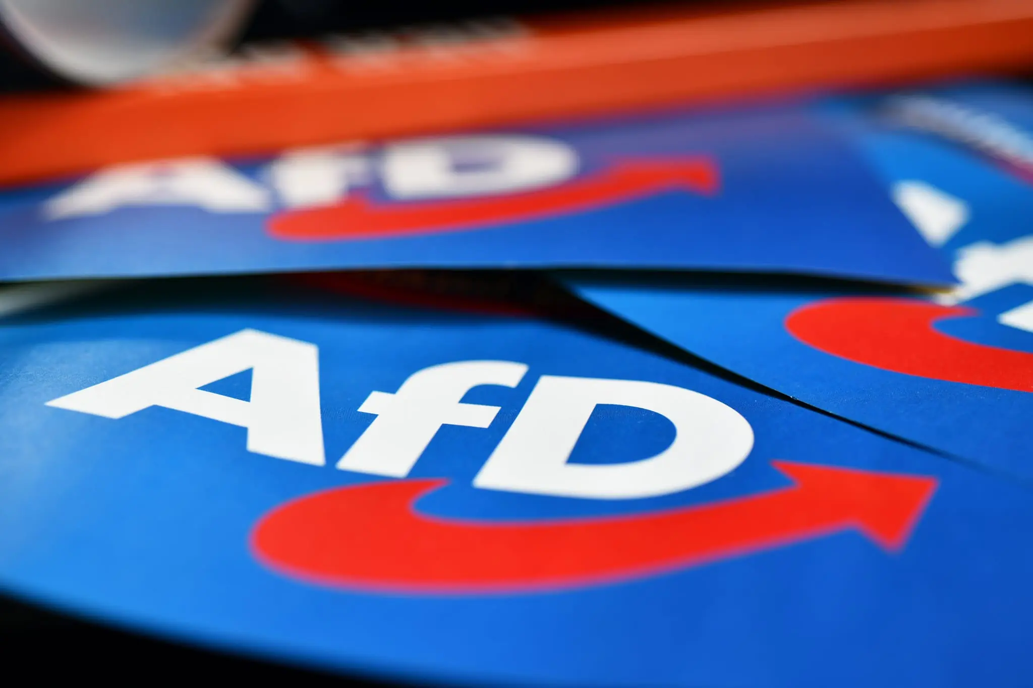 German immigration restrictionist party wins significant victory in state elections