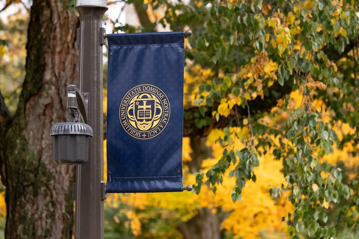 Notre Dame to honor Dominican sisters with pro-life award for care of the dying