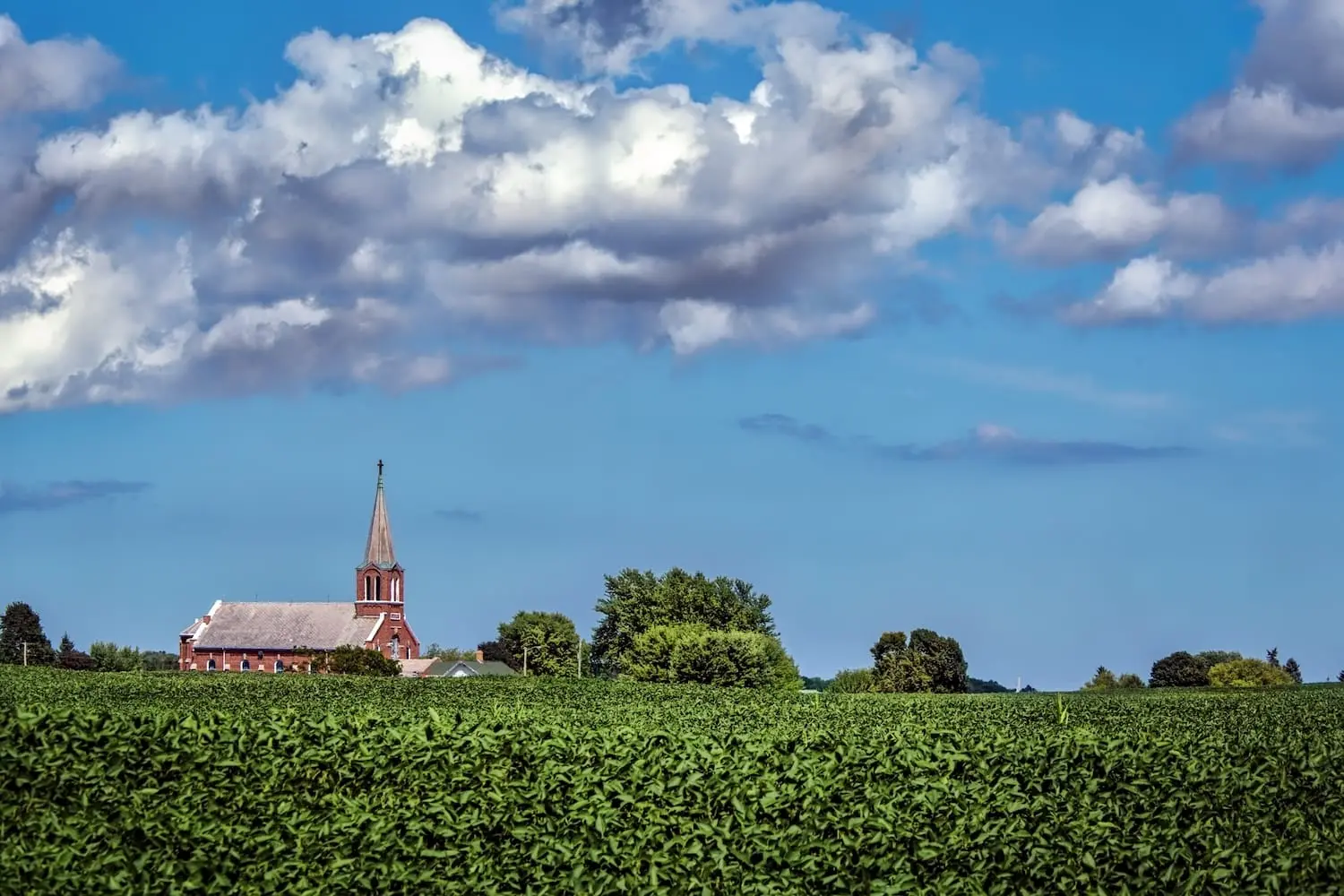 Wisconsin family’s Catholic faith bears fruit across generations