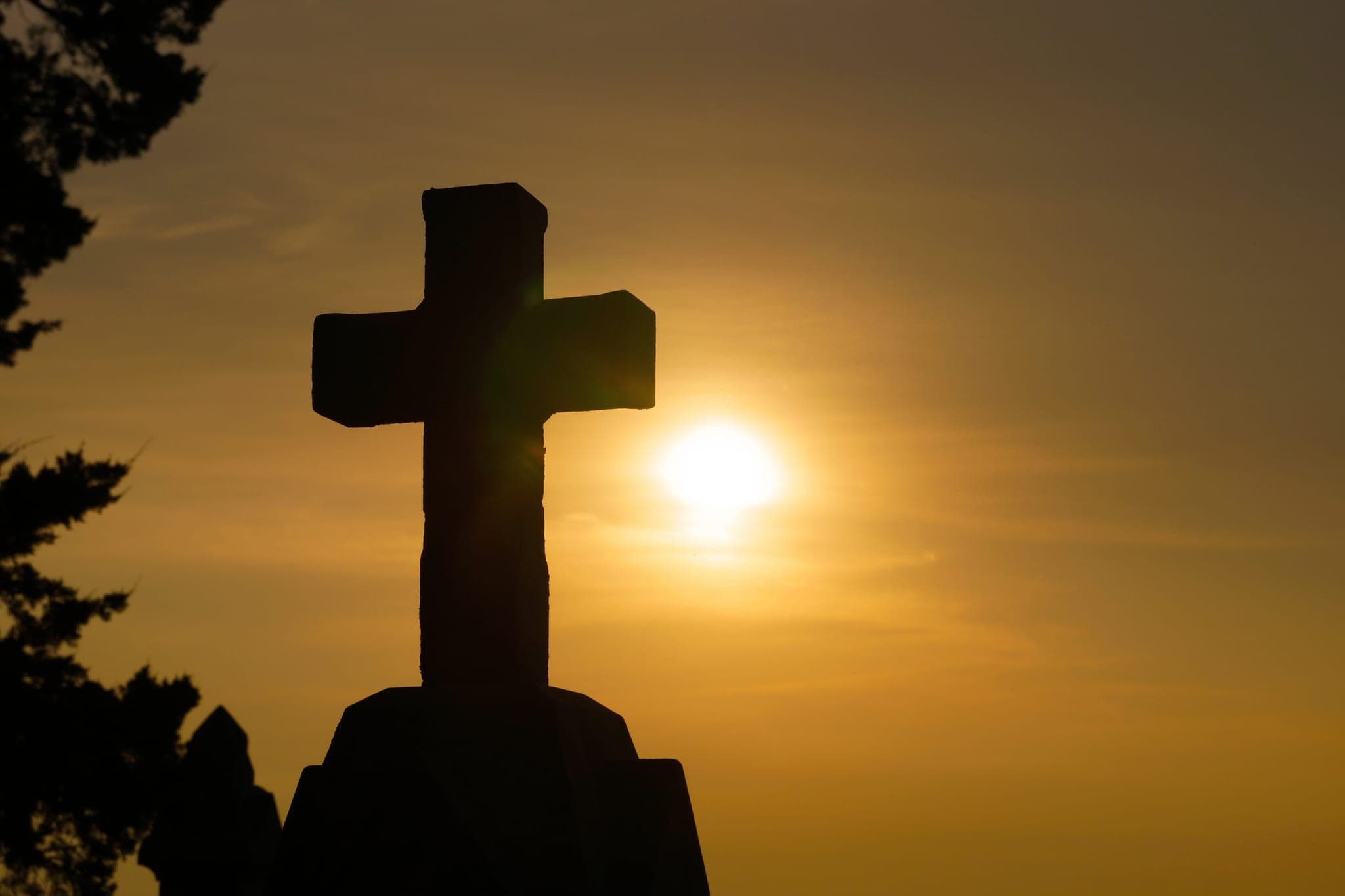 US bishops mark religious freedom commemoration with call to defend human dignity in digital age