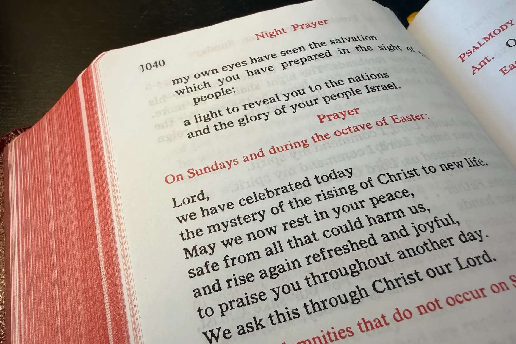 Article image for Living every weekend in the Triduum’s rhythm: What I’ve learned from Liturgy of the Hours
